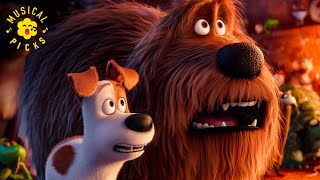 Gidget Demands Answers Jenny Slate - Max Is Missing The Secret Life Of Pets