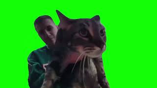 Cat Meows At Doorbell Camera - Green Screen 1080P