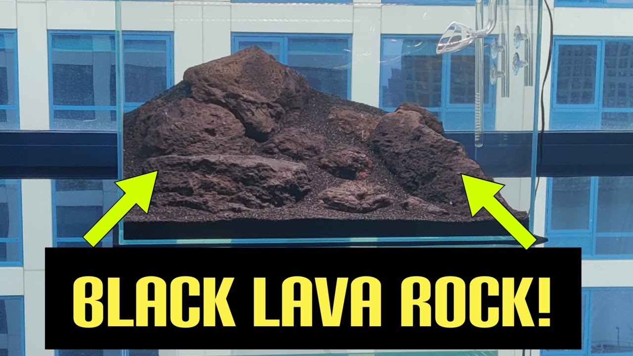Aquascaping With Black Lava Rock *Part 1* YouTube