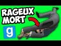 Un rageux insulte ma grandmere  gmod darkrp