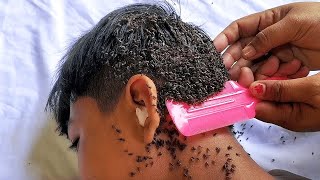 धरती के सबसे खतरनाक कीड़े | Top Dangerous Insects In The World