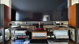 Careless Whisper by Orinoco Haven