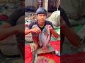 Amazon Big Tilapia Fish Cutting Skills || Fish Cutting #shorts #islamicshorts #fishcutting #tilapia