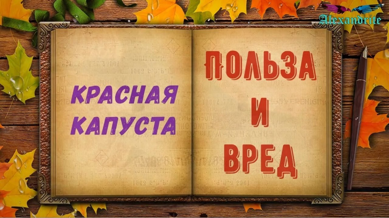 Краснокочанная капуста-Польза и вред_(Здоровье)_Alexandrite
