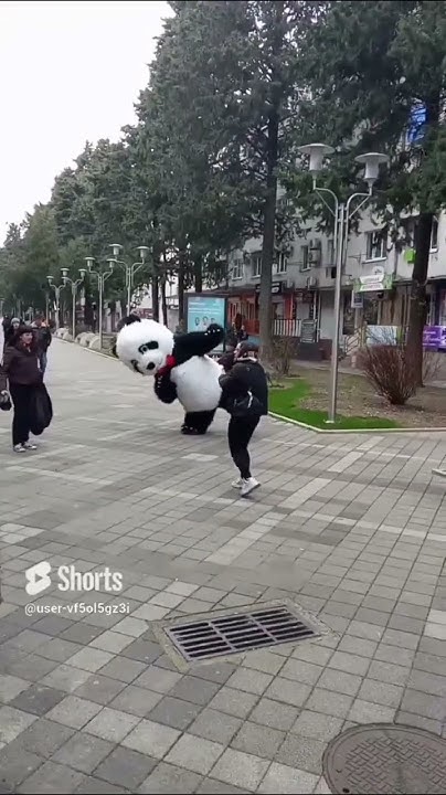 Веселая Кунфу Панда. приколы ржач 🤣 - YouTube