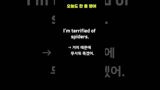 “무서워 죽겠어” 영어로 이렇게 말해요 | 매일 1문장 영어 | 실생활 회화 쇼츠 #영어회화 #유용한영어표현 #감정영어