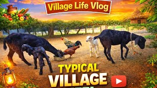 Typical Village Life in Sri Lanka 🇱🇰 | Peaceful Rural Lifestyle Vlog