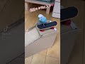 スケボーインコのタロ ②　安定感最高！