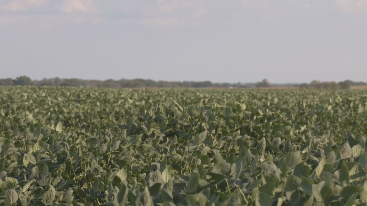 Oklahoma Farmers Hit Hard By Rising Fuel & Fertilizer Costs
