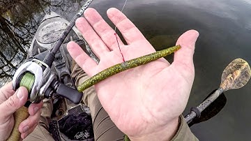 This Rig ALWAYS Catches Fish!