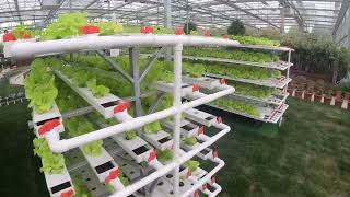 Best Commercial NFT Hydroponic Systems