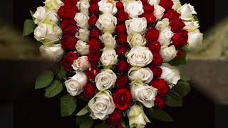 Red is the rose (with lyrics)/Irish folk song/Kate Makarova