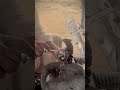 کیپشن: "گلشنِ حدید سے آیا ہوں اپنی موٹرسائیکل بنوانے، استاد شیرا کے پاس۔ 🏍️🔧