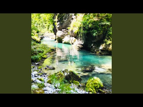 Putar echoes of yesterdays by the creek beneath the trees - Shai