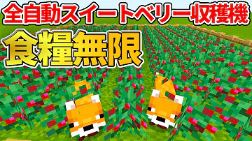 マイクラ 統合版 全自動 羊毛