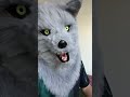 72 Baes Furry 72 Baes Furry