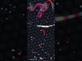 Slither.IO Gameplay 75