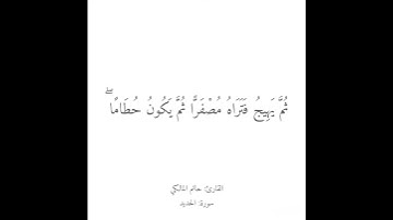 اعلموا أنما الحياة الدنيا | القارئ حاتم المالكي