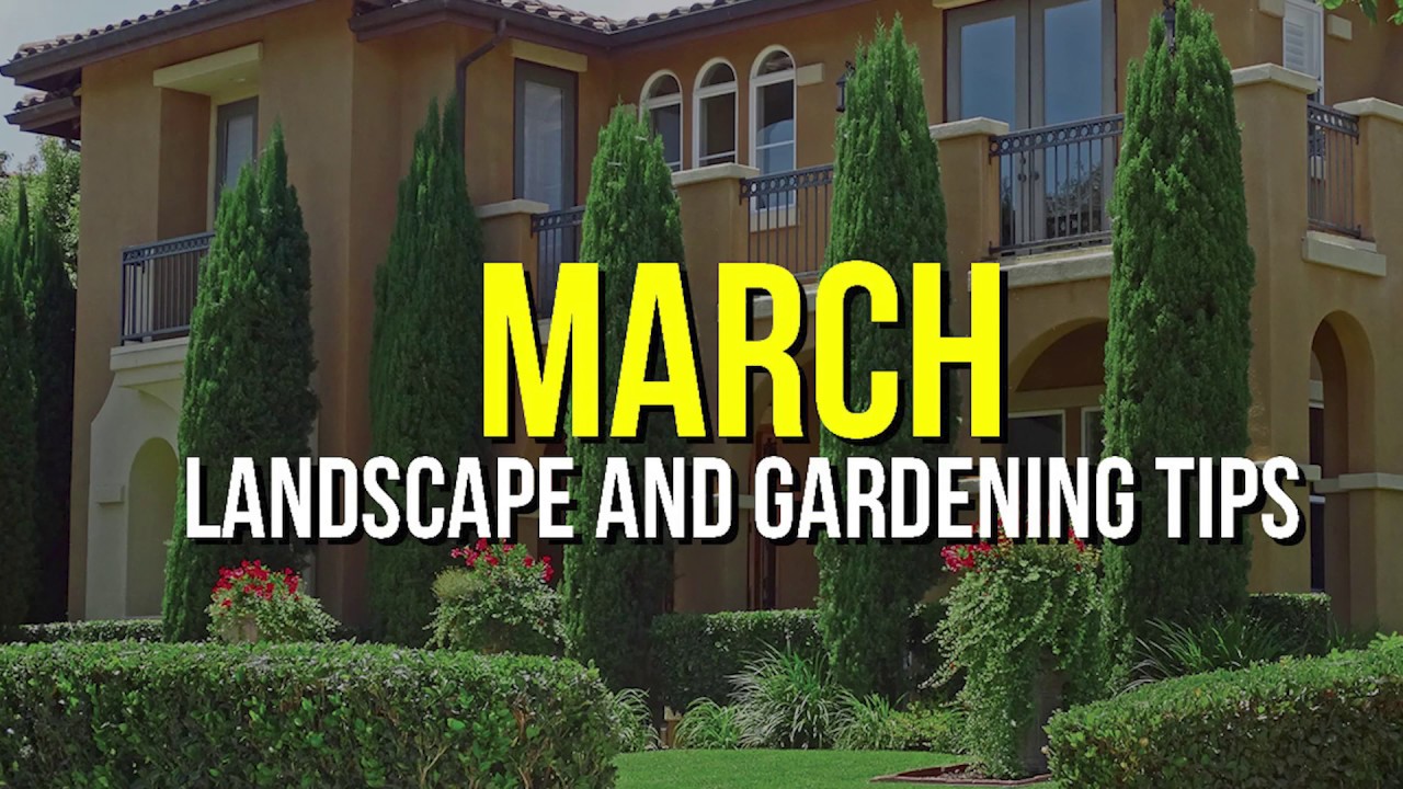 March Landscape and Garden Tips - YouTube