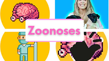Como é a estrutura de um vírus de exemplos de duas zoonoses?