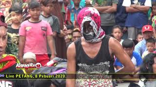 KUCINGAN - SINGO TUTUR BUDOYO LIVE PETANG