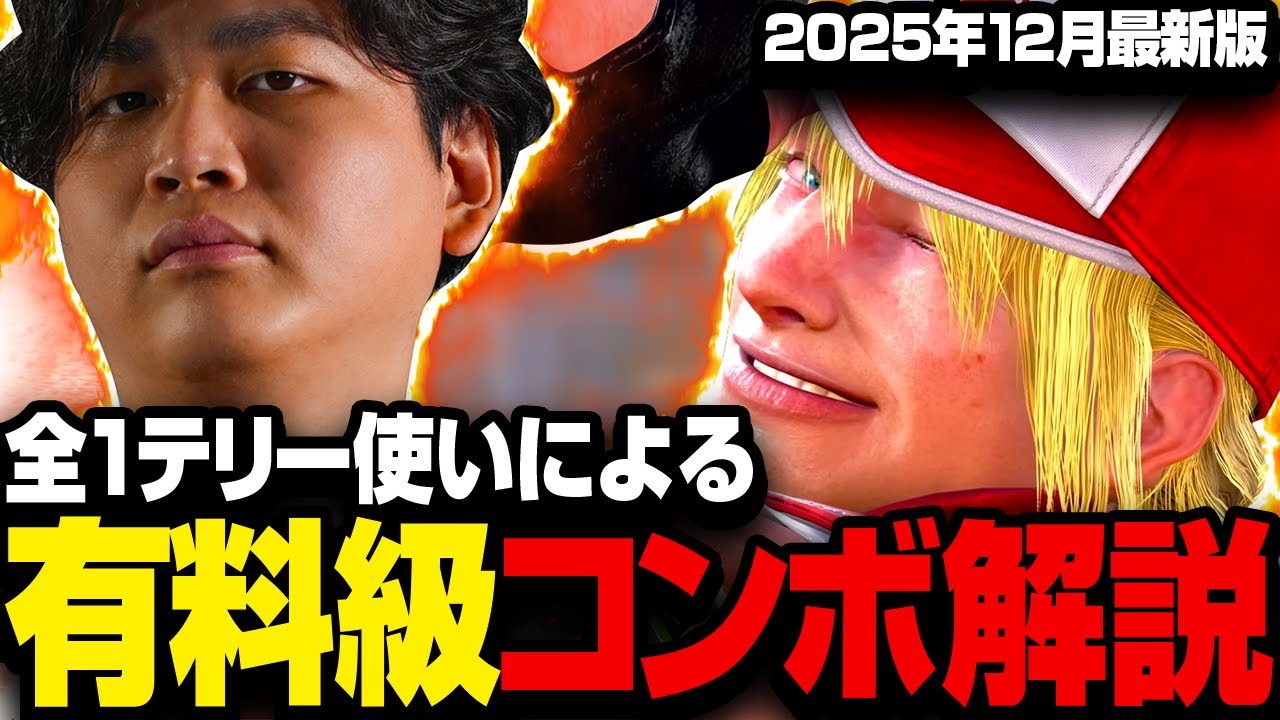 【スト６】これ1本で解決！全1テリー使いによる有料級コンボ解説【きんちょ切り抜き】