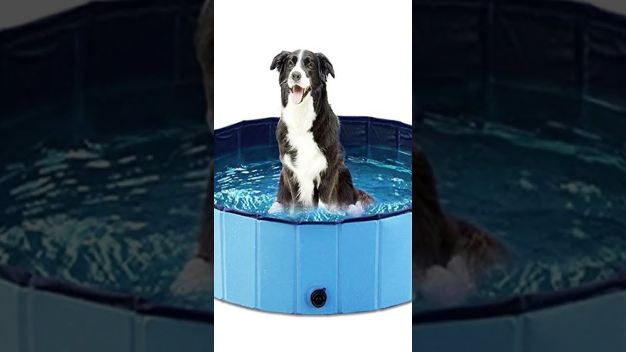 Foldable Pet Pool Perfect for Dog Baths and Summer Fun 