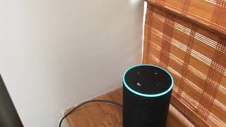 The New Alexa Command.