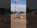#nsca #omoksee #horse #rodeo #westernmedia #western #westernriding #aqha #youtubeshorts #subscribe