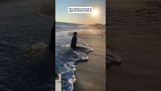 lonely dog sad status #dog #owner #died #sadstatus