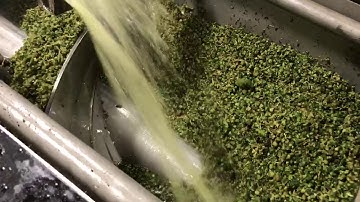 Alcohol Extraction Hemp CBD