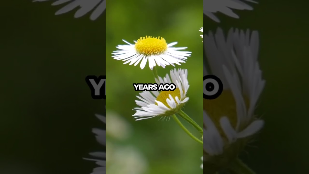 Reunited with My Ex: Family Secrets Unraveled at Reunion!