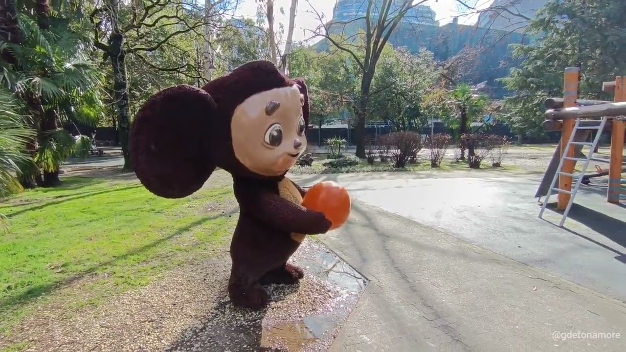 Сочи сегодня 04.02.2026 Наконец-то солнце ☀ погода шикарная! Новенькое на набережной. Рыбалка есть! 