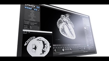 3D Reconstruction of a Mouse Embryonic Heart Using HREM Data | Dragonfly Workflow Tutorial