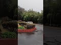 伊東市は雨が降っています #japan #ito #music #rain