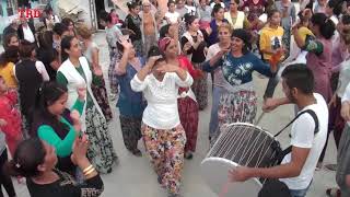 Geli̇n Alma Halayinda Dawul Ri̇tym Show