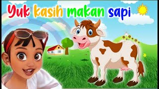 Yuk Kasih Makan Sapi Bilqis