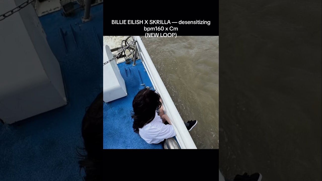 BILLIE EILISH x SKRILLA — desensitized bpm160 x cm