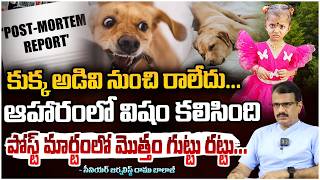కుక్క పో*స్టుమార్టం రిపోర్ట్ లో ఒళ్లుగగుర్లు పొడిచేనిజాలు..ఆహారంలో వి*షం? Sensation In Jahnavi Case