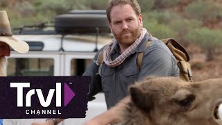 Josh Gates: Transportation By the Numbers | Travel Channel
