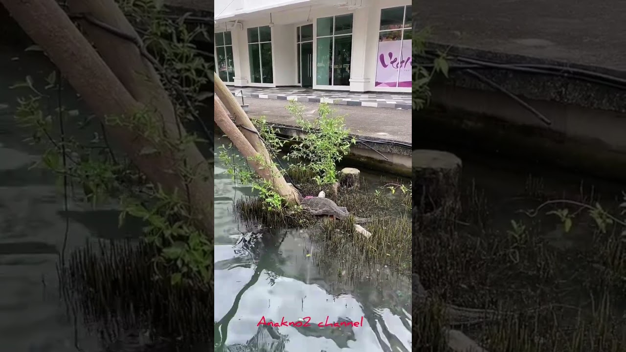 Dua jam jalan kaki di kota Melaka #bandarayabersejarah #livetiktokanakno2melaka #melakapeople