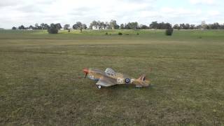 P 40 Maiden
