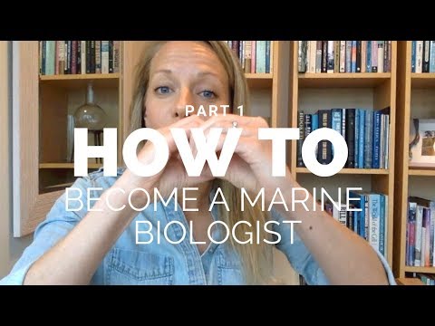 How to become a marine biologist – Part 1