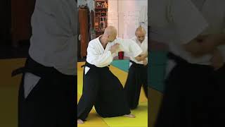 #27 Aikido, Sankyo,Yufukan Moscow