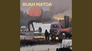 Buah Matoa