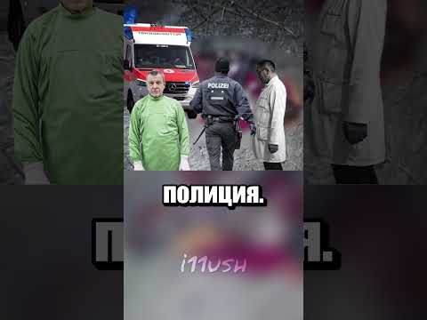 Кого нашли в парке?