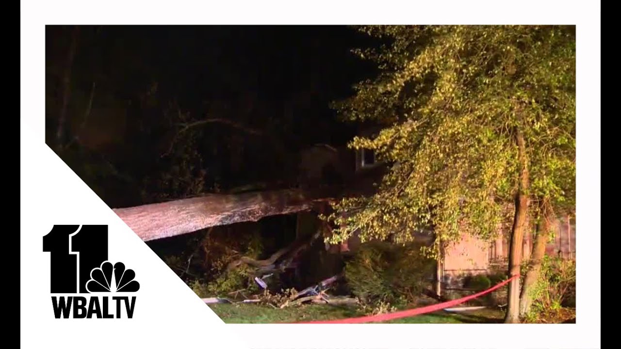 Man dead after tree falls onto Annapolis home, 2 others injured - YouTube