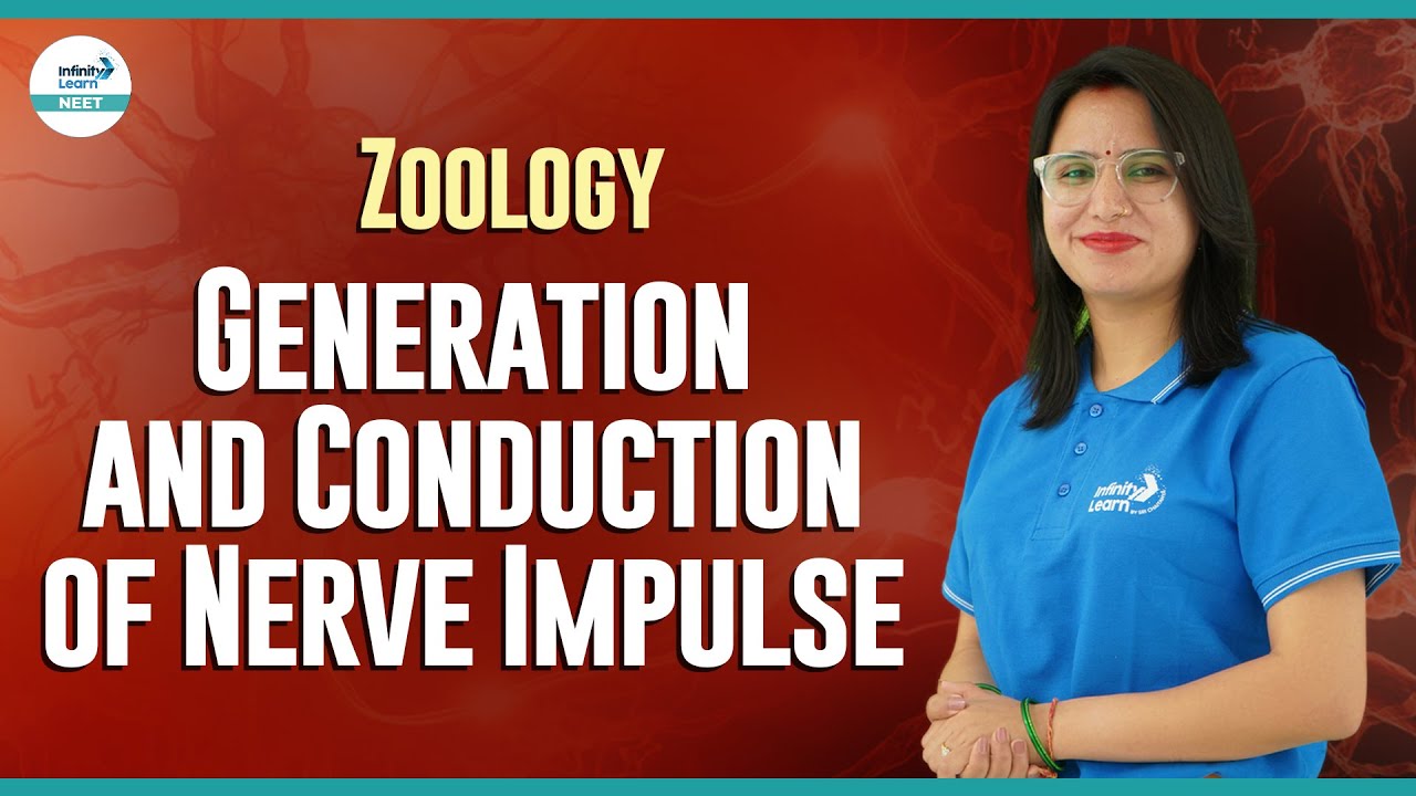 Generation and Conduction of Nerve Impulse || #NEET Zoology || # ...