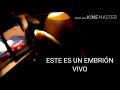 CÓMO SE VE UN EMBRIÓN VIVO🐣 (VS) MUERTO ALOS 12 DIAS