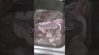 طريقة تنظيف كرشة الخروف# عيدالاضحى Shorts#